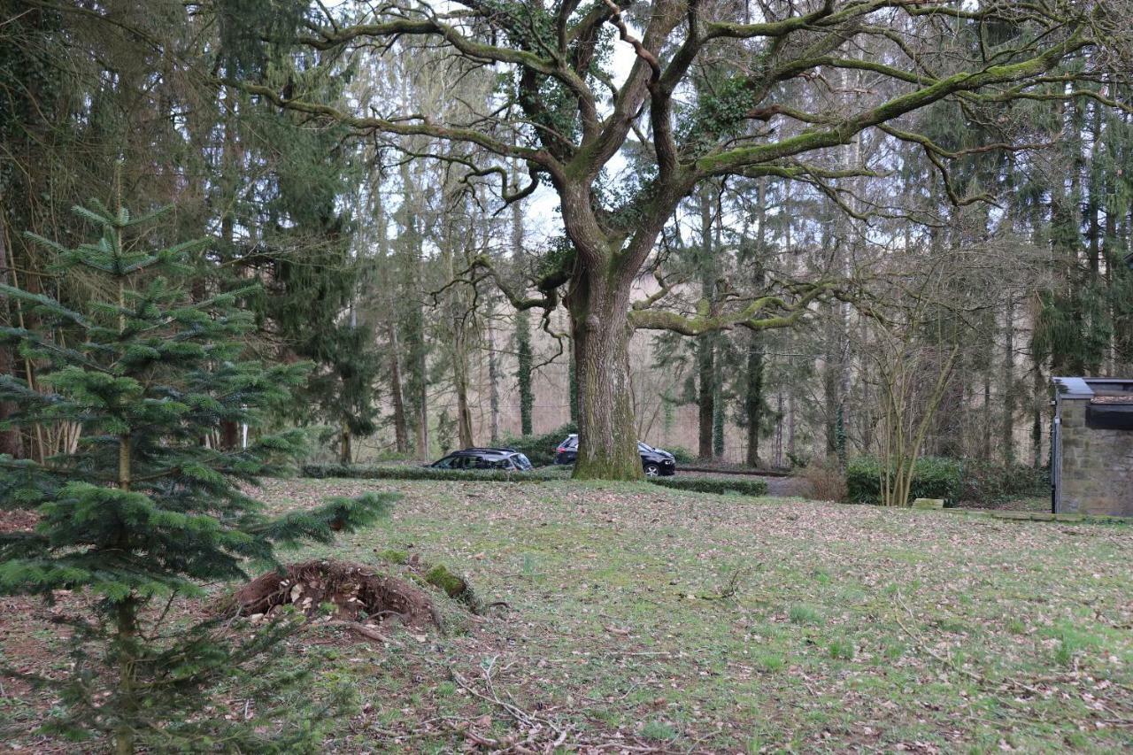 Le Portail Des Ardennes Villa Nassogne Kültér fotó